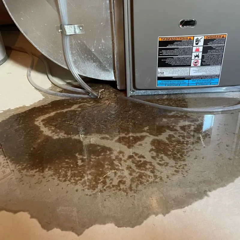 Pipe Burst and Leak Restoration in Brattleboro, VT